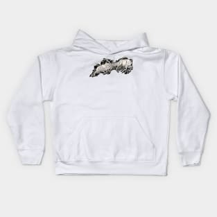 Bighorn Sheep Shattered Attack Kids Hoodie